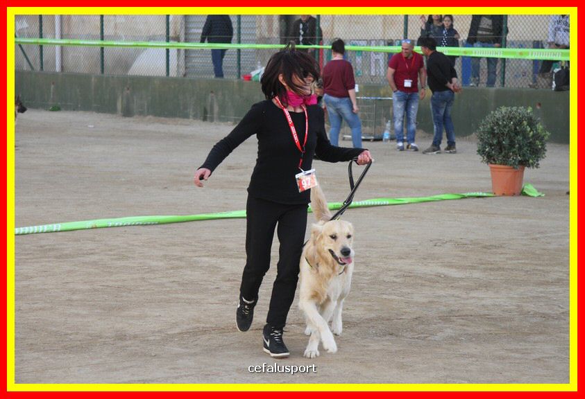 180311 mostra_canina 172.jpg